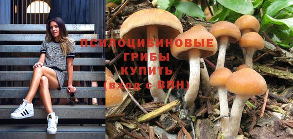mix Алексин