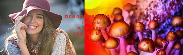 СК Алзамай